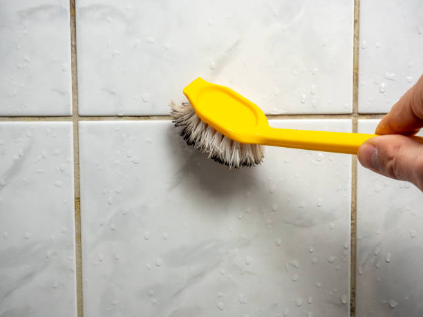 Best Health and Safety Mold Remediation in Grand Mound, WA