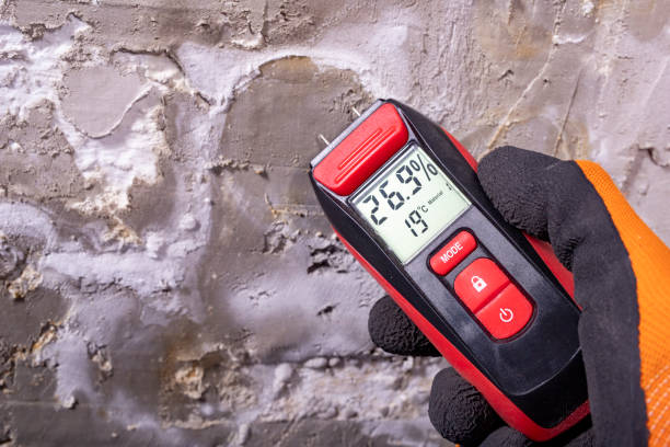 Best Kitchen Mold Remediation in Grand Mound, WA